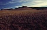 The grass lands near Tahki horses